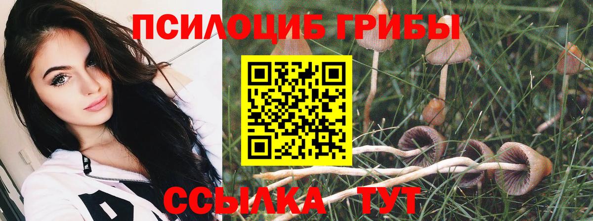 Галлюциногенные грибы прущие грибы Лангепас